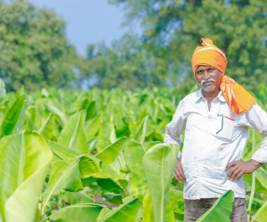 farmer