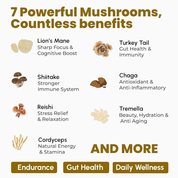 Rooted Active's Mushroom Complex - Image 2