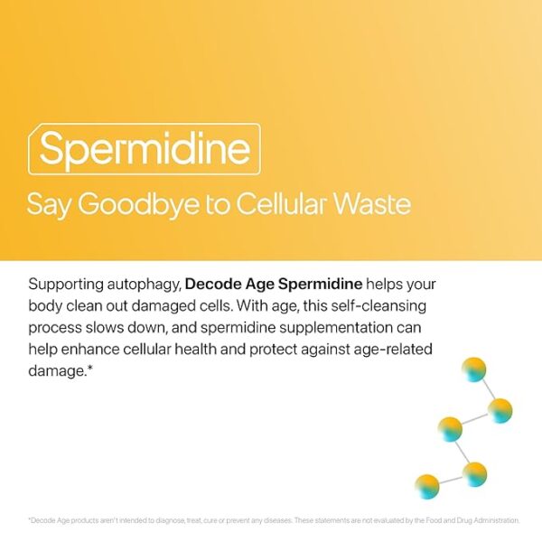 Decode Age Spermidine Supplement - Image 3