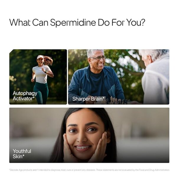 Decode Age Spermidine Supplement - Image 4