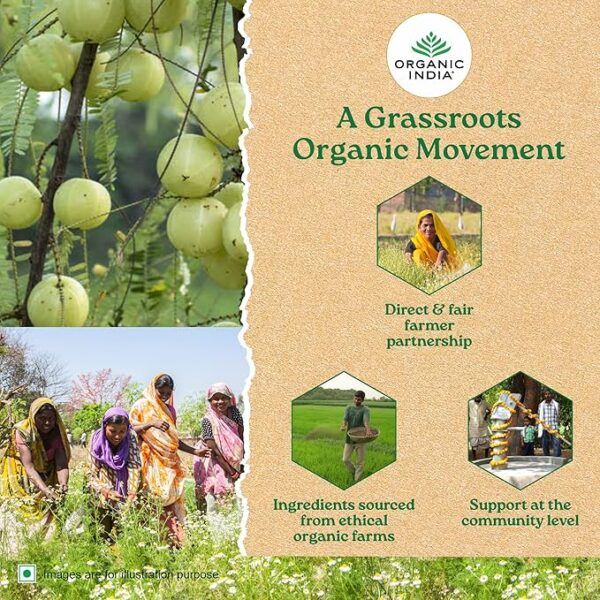 Organic India Tulsi Mulethi - Image 6